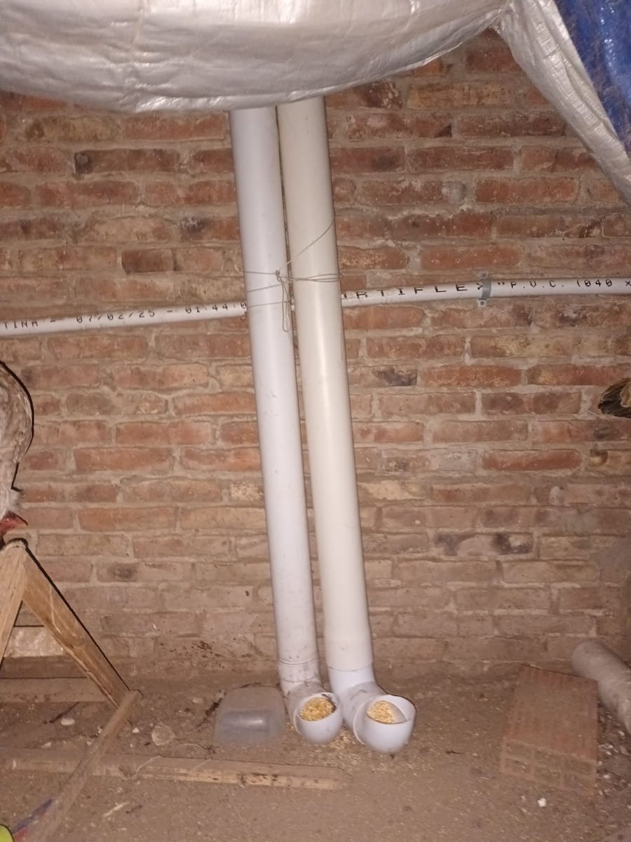 Dos tubos de PVC verticales de 160 cm amurados a la pared como comedero casero para gallinas.