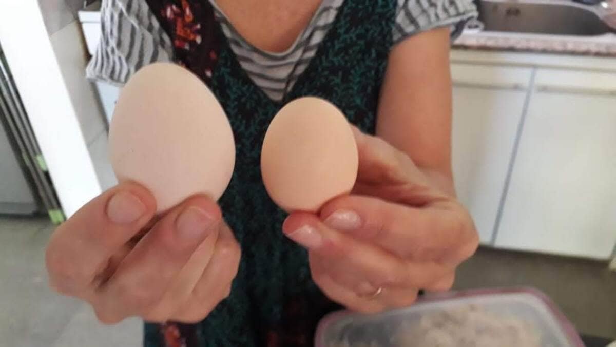 Dos huevos de gallina de distinto tamaño sostenidos con las manos