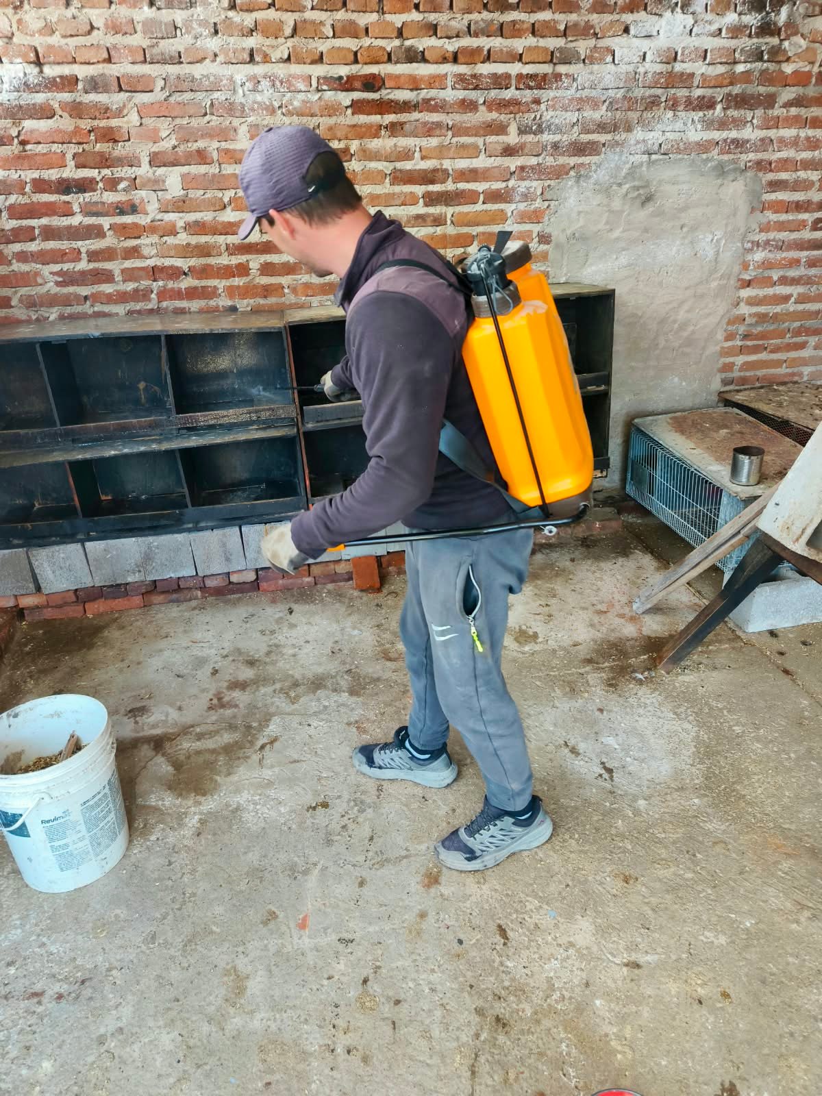 Persona fumigando los ponederos de madera de un gallinero con una pulverizadora de mochila naranja para eliminar piojos y ácaros.
