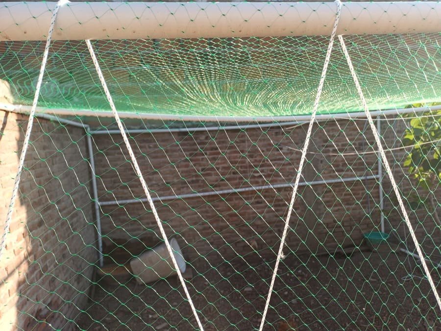 Malla antipájaro verde instalada sobre estructura de tubos de PVC en un gallinero casero