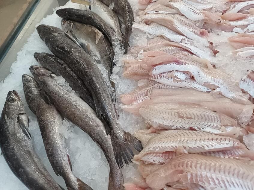Pescados enteros frescos y filetes limpios exhibidos sobre cama de hielo