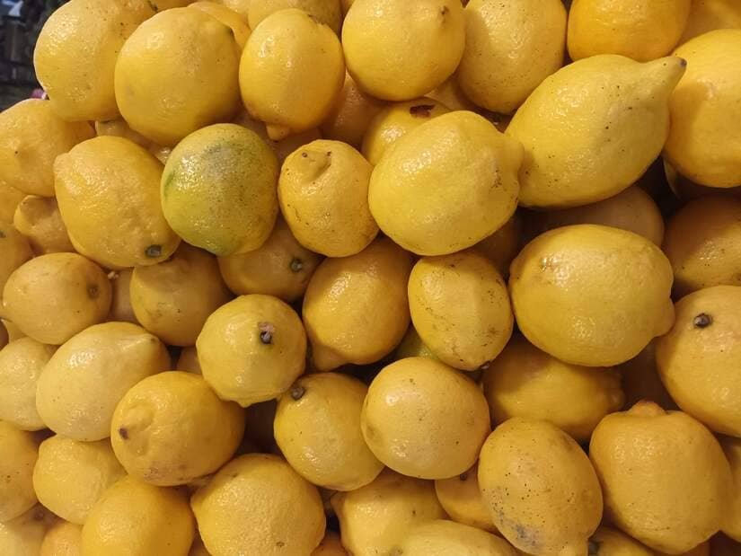 Limones como alimento para gallinas
